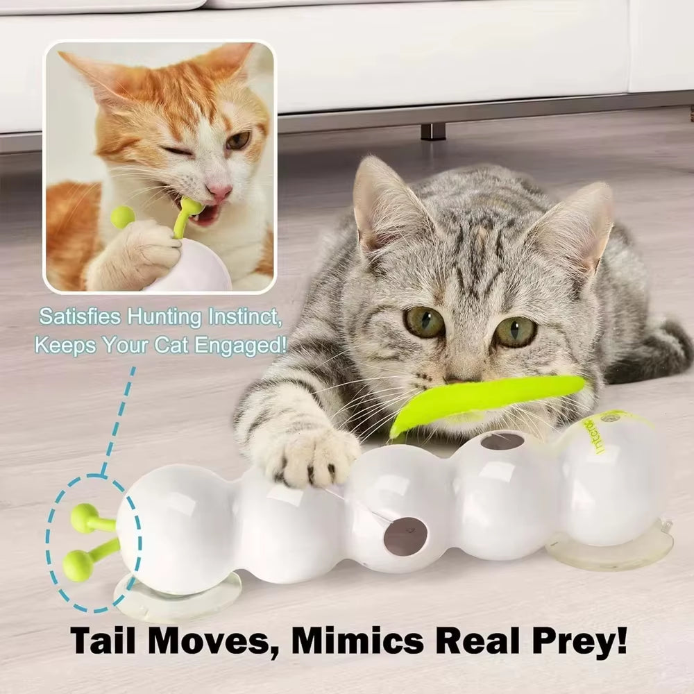 Caterpillar Interactive Cat Toy 